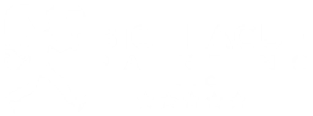 Big League Painting logo white