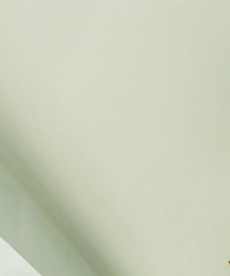 How to Clean Mold Off Bathroom Ceiling